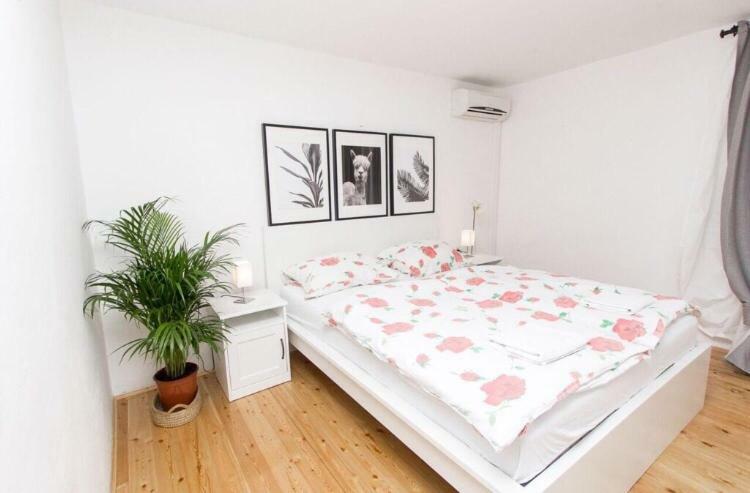 Apartments And Rooms Ille Šibenik Екстериор снимка